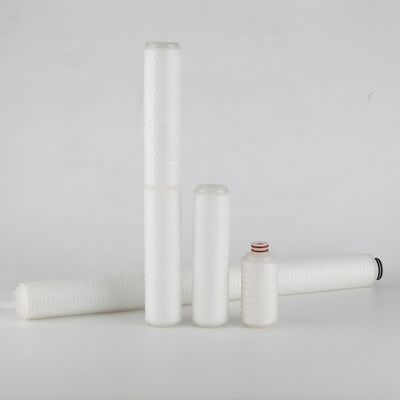 交換可能な0.22ミクロン 絶対膜 ステリライズ プレート フィルター カートリッジ 10 インチ