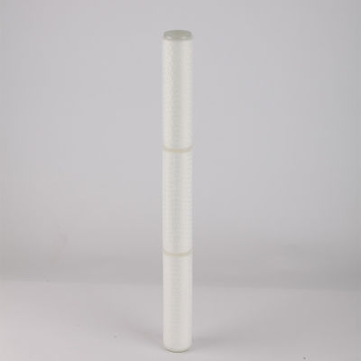 0.22 0.45 マイクロン PES PTFE 水処理 10 インチ PP プレートフィルターカートリッジ交換